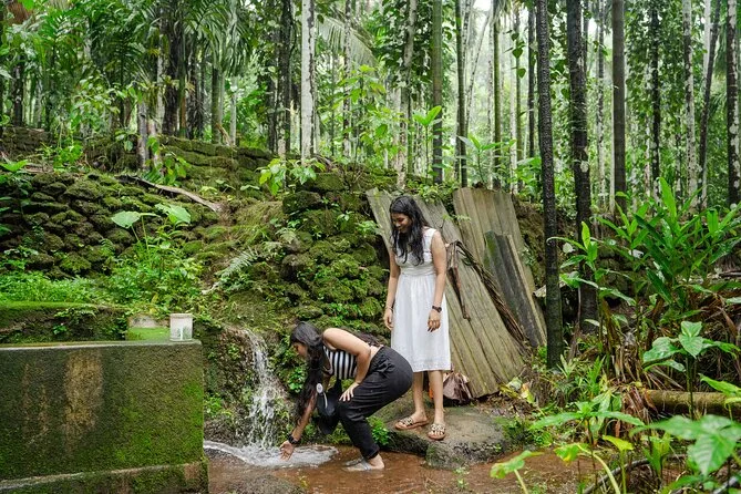 Netravali Waterfall Experience