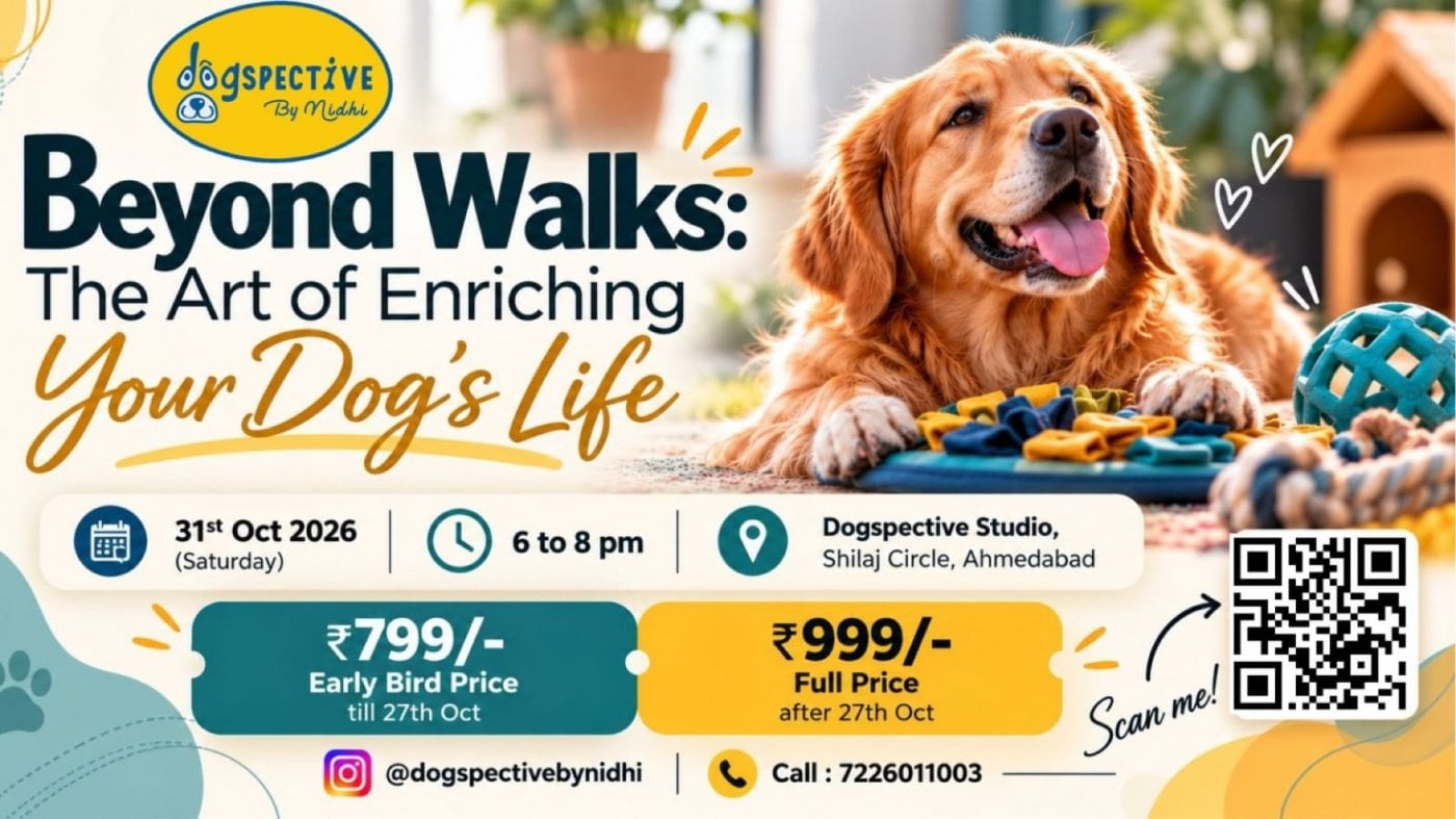 BEYOND WALKS: The Art of enriching Your Dog's Life